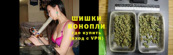 крисы Армянск