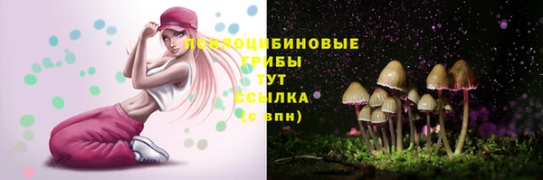 крисы Армянск
