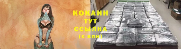 крисы Армянск