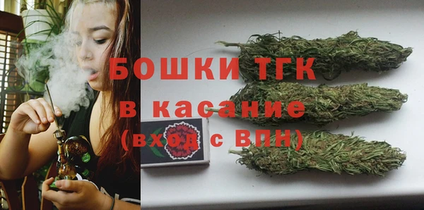 крисы Армянск